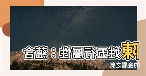 陳 五行屬性